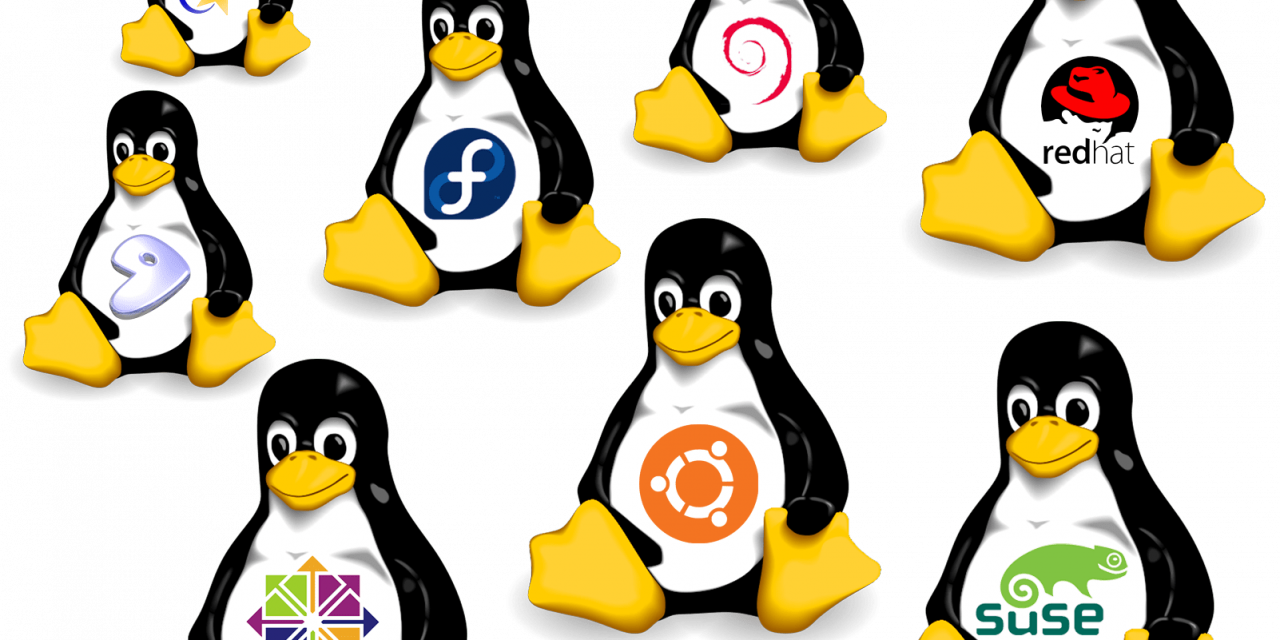 rc.local en Ubuntu 18.04